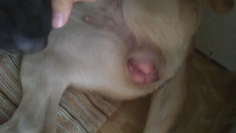 Passionate kisses in bed