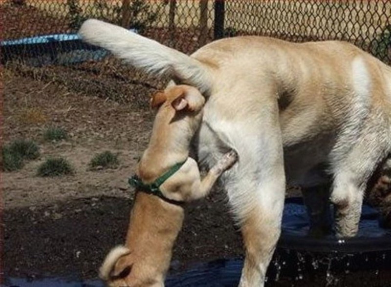 Heidi Klum 48 years old