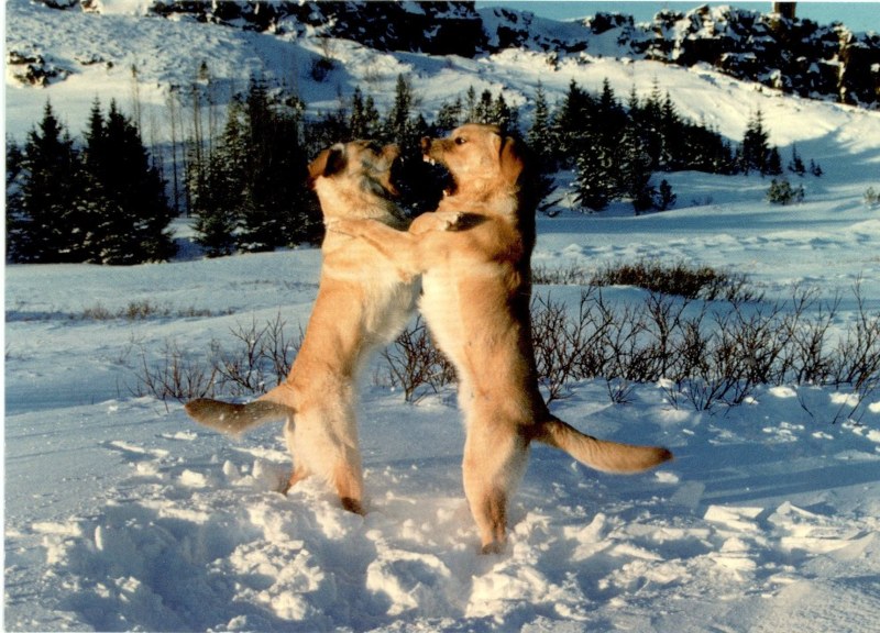 The outlines of the Baltic states