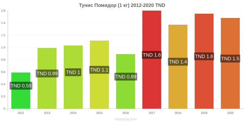 Holly remains to spend the night movie 2020