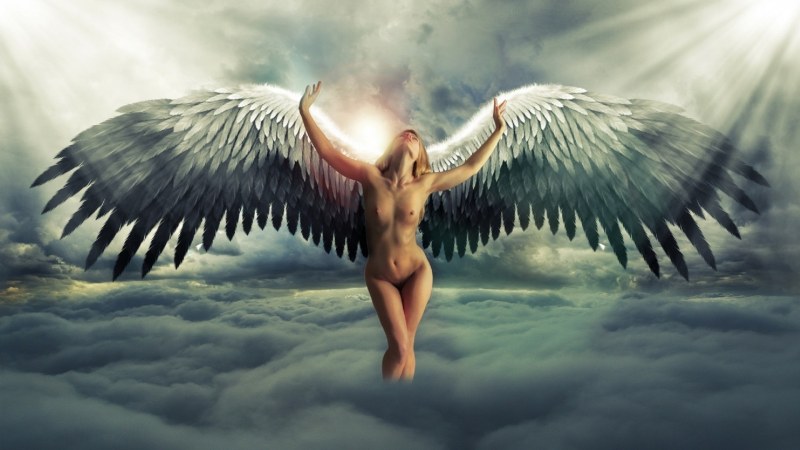 Girl Angel Erotic
