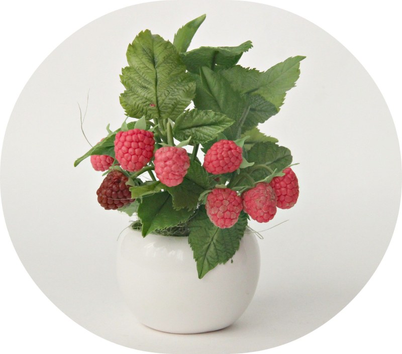 Beautiful girl next to raspberries