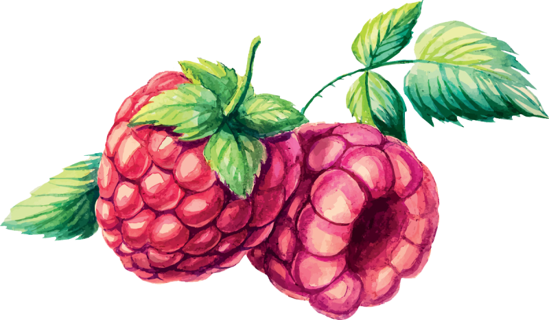 Malina Weissman Photoshoot