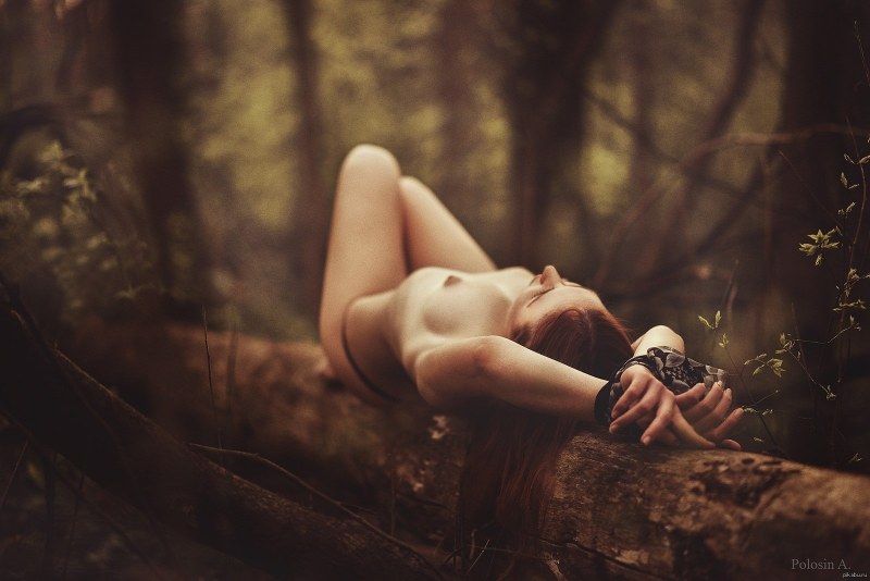 Erotic photo shoot in the forest