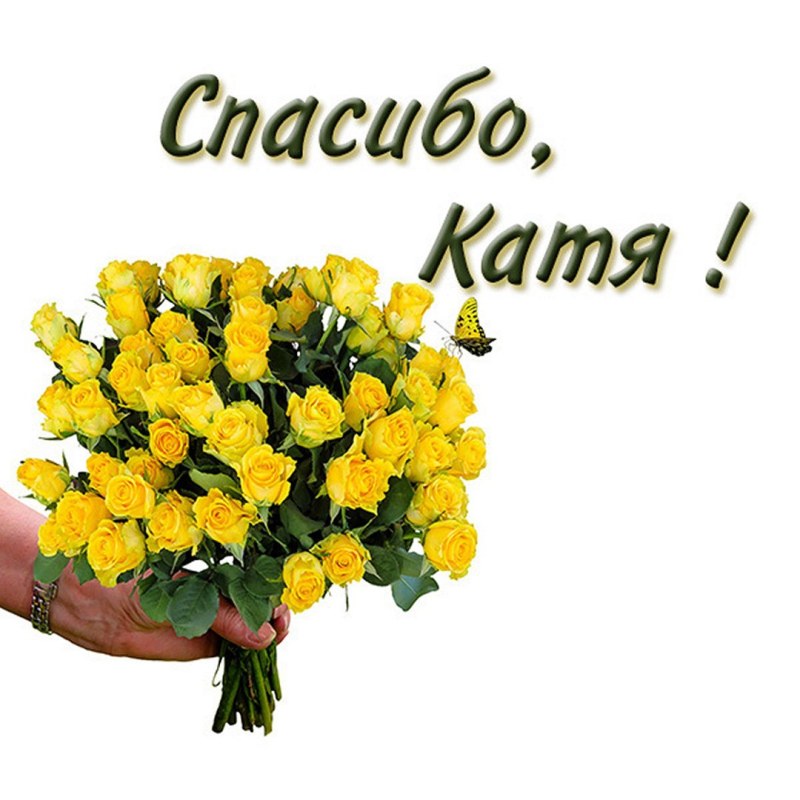 Pasha Happy Birthday Technician