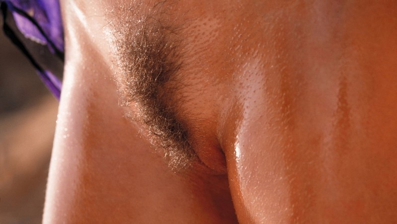 Beautiful hairy pubis