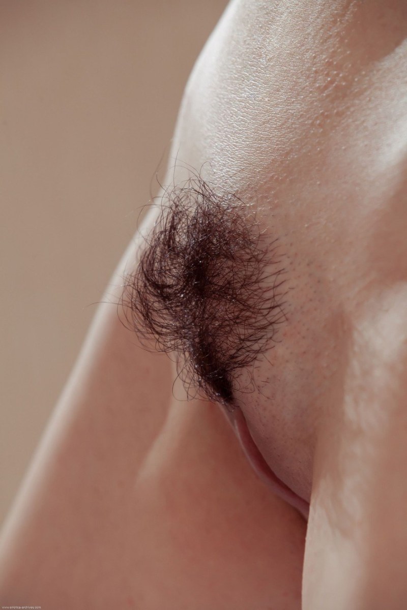 Beautiful hairy pubis