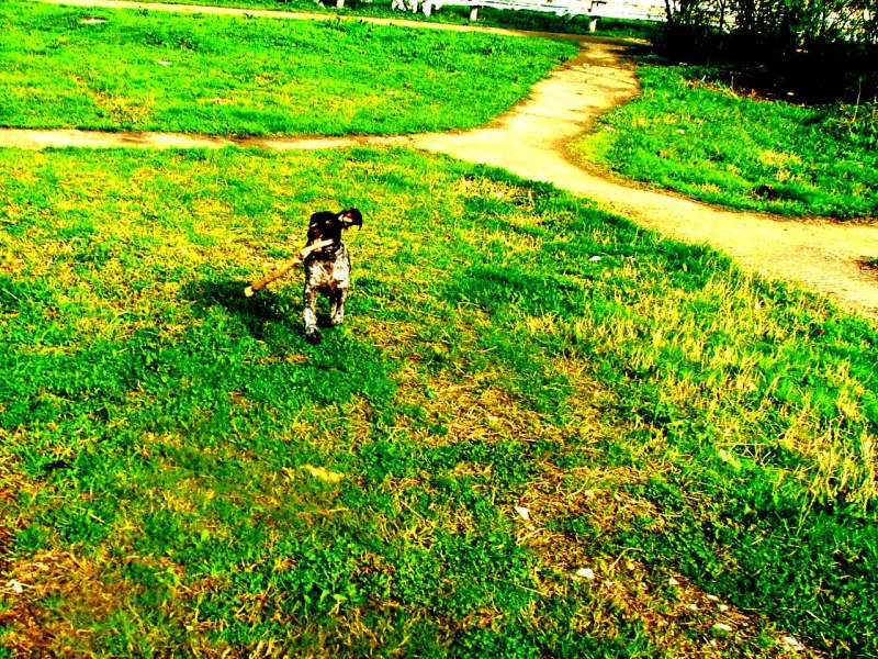 Ksyusha 47 years old from Novosib