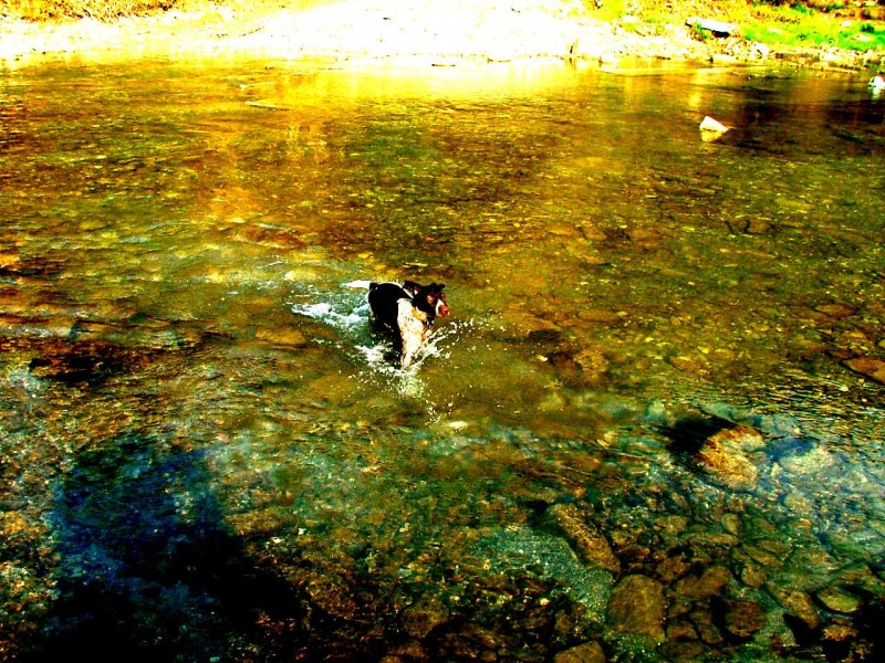 Naked Russian women Private