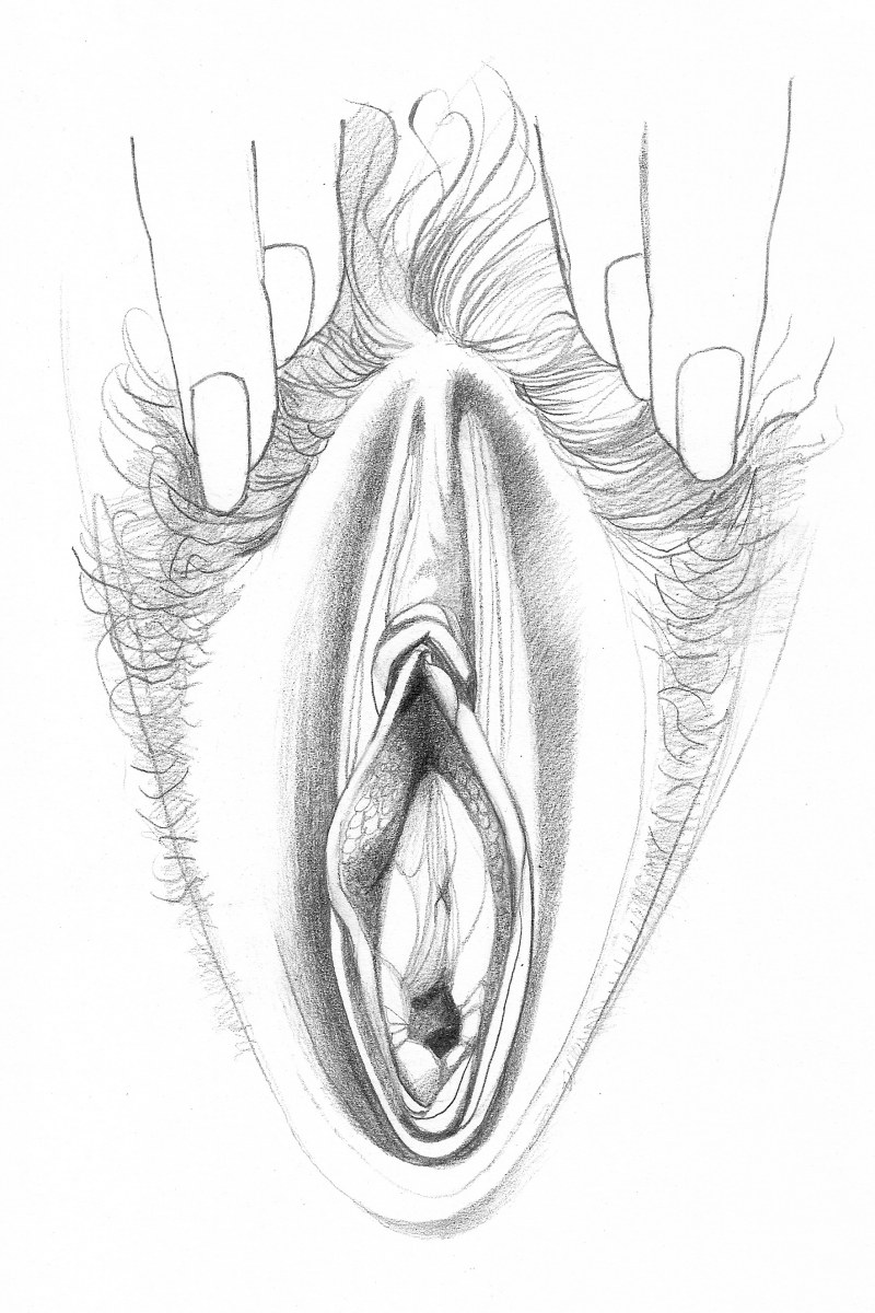 A vagina drawn by a simple pencil