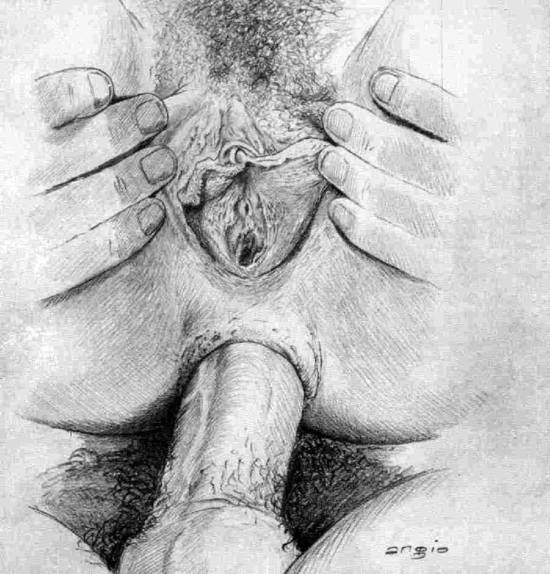 Member and vagina drawings with a pencil