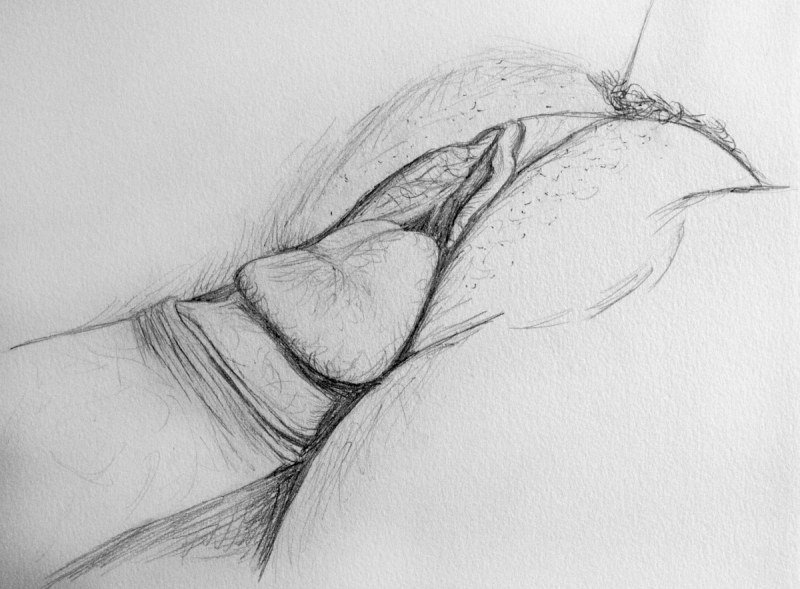 Pencil drawings female pubis