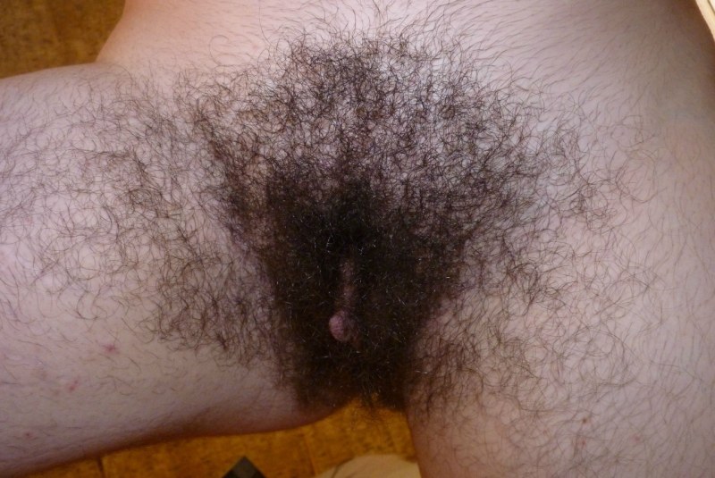 Women's hairy pussy