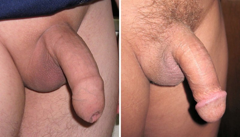 Male dick close -up
