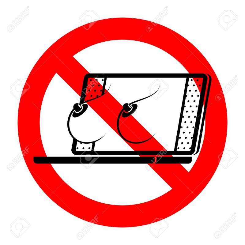 The skater Elizaveta Tuktamysheva