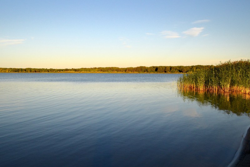 Lake Gorky Perechnichny Yegoryevsky district