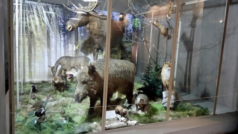 Local history museum Belgorod