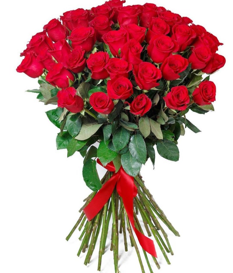 Ashley Alexis Plus Size Boudoir