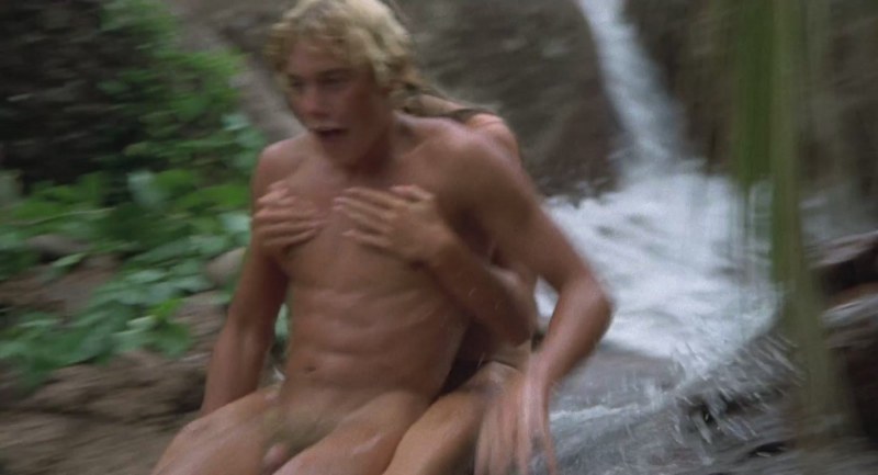 Brooke Shilds Harry Gross