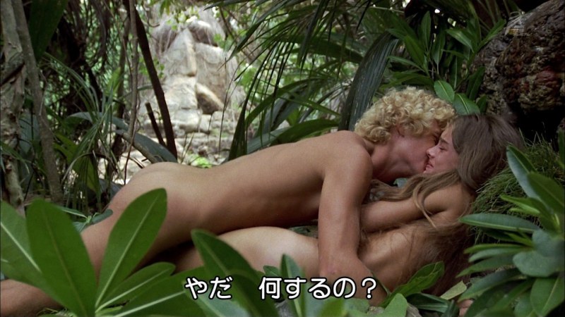 Harry Gross Brooke Shields Naked