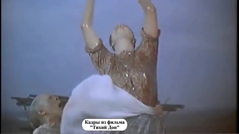 Shooting is prohibited by the meme