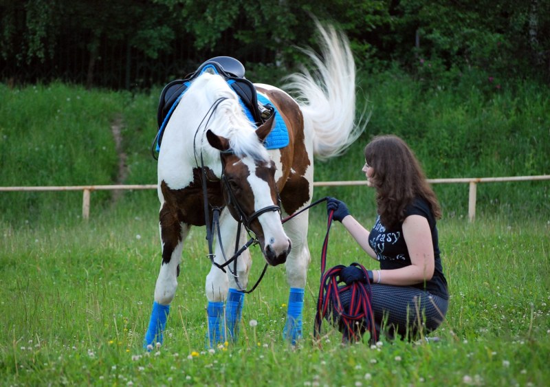 Polina Davydova Ivanko