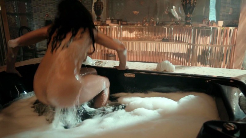 Actress Sonya Braga Naked