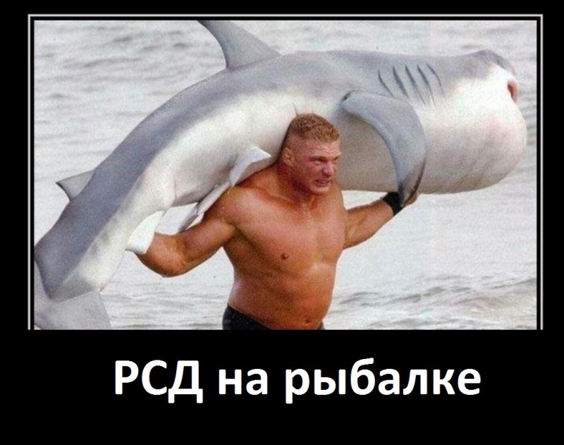 Shark man demotivator