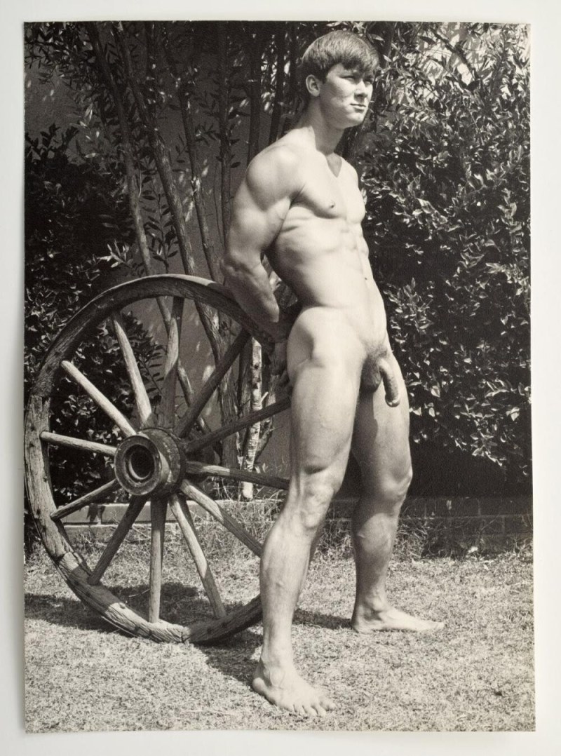 Naked hairy men retro