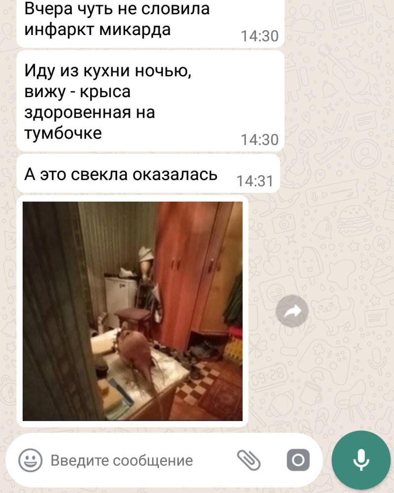 Correspondence with a guy in Viber