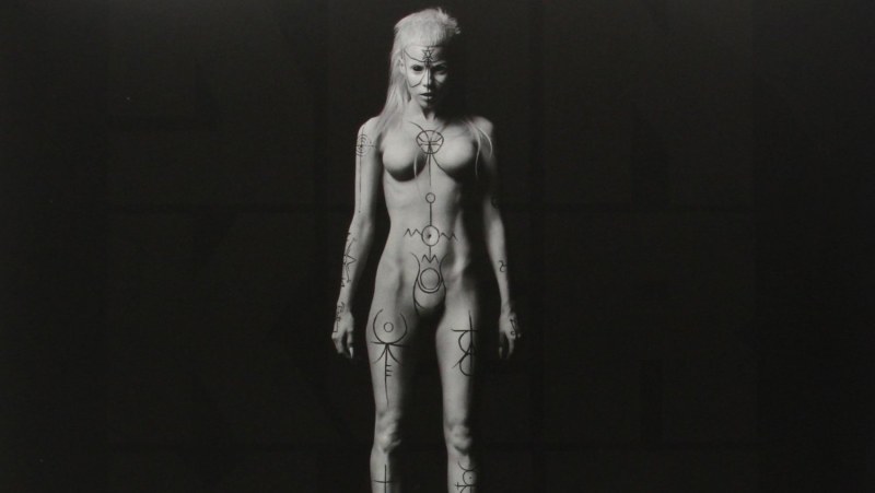 Soloist group Die Antwoord naked