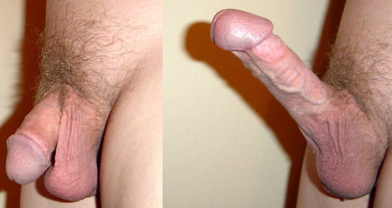 Small Undoiled penis