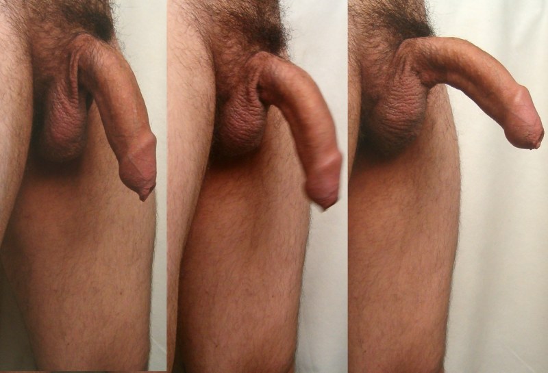 Big men's genitals