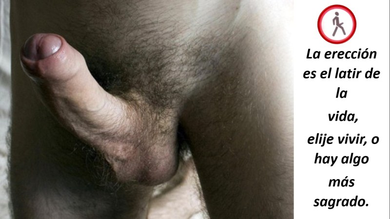 Porn with small members