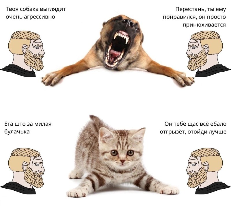 Young fuck in nature