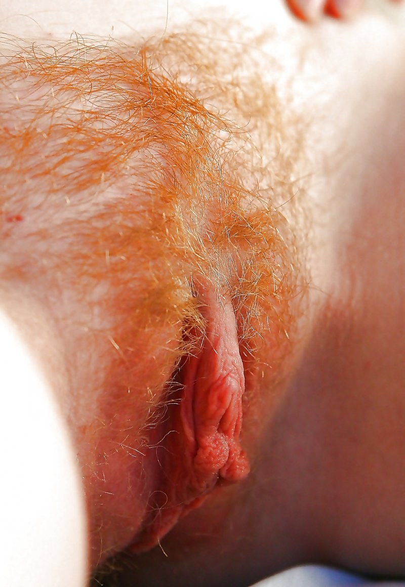 Little hairs on a pussy