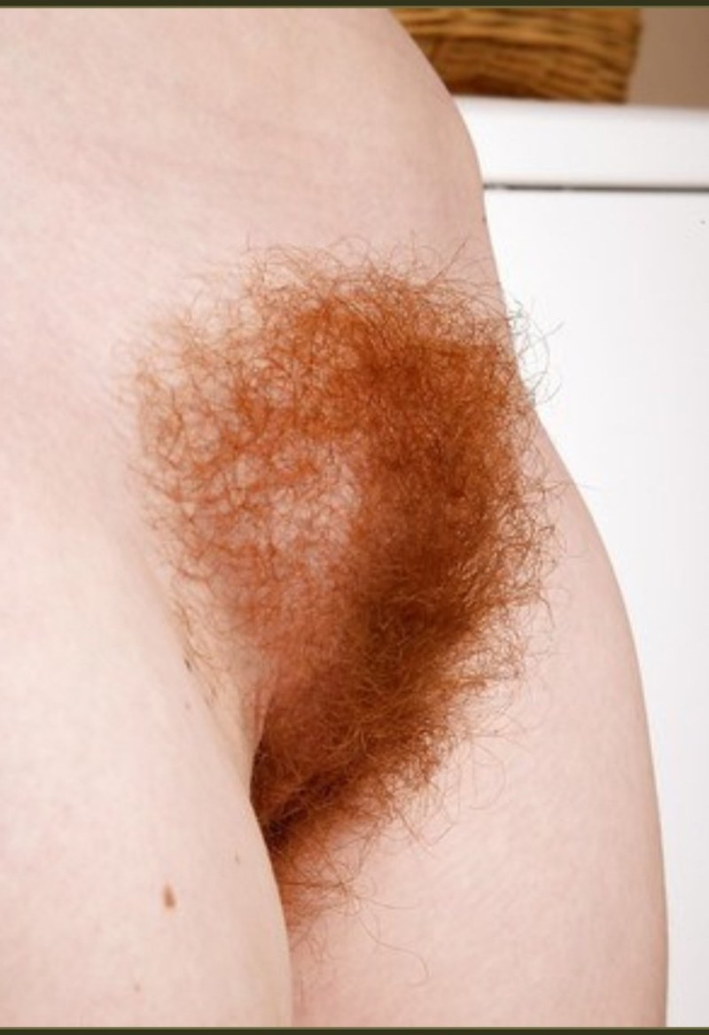 Red -haired hairy crotch