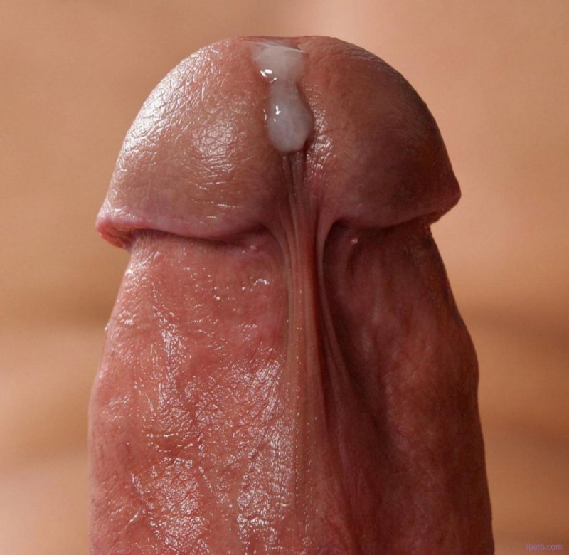 Male dick close -up
