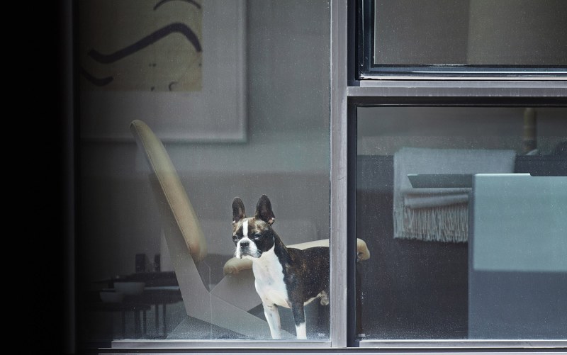 I spied on the window