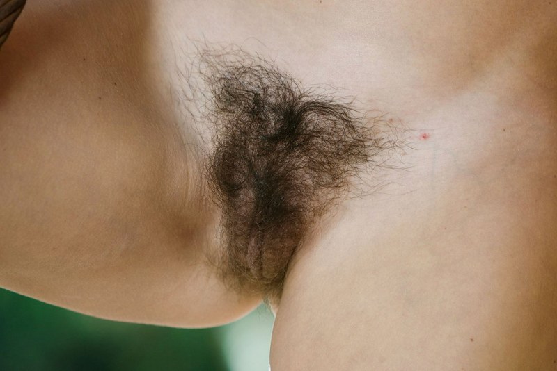 The most hairy female pubis