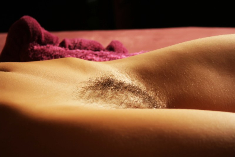 Beautiful hairy female pubis