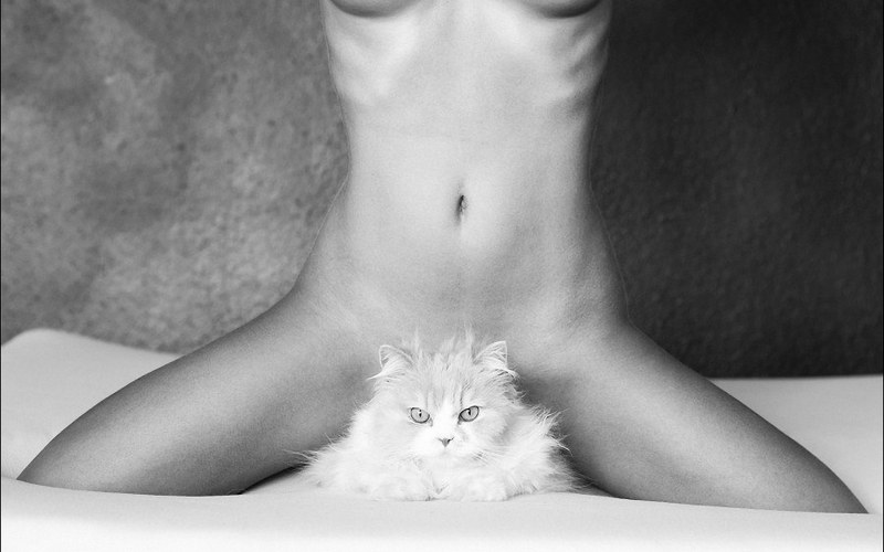 Alice Werner photographer