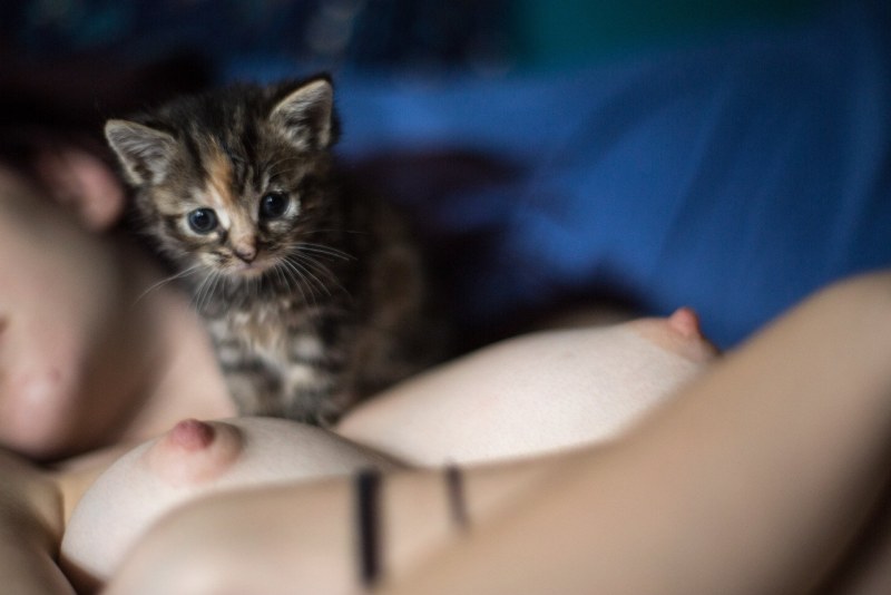 Pornstar Tina Kay Zhmzh anal