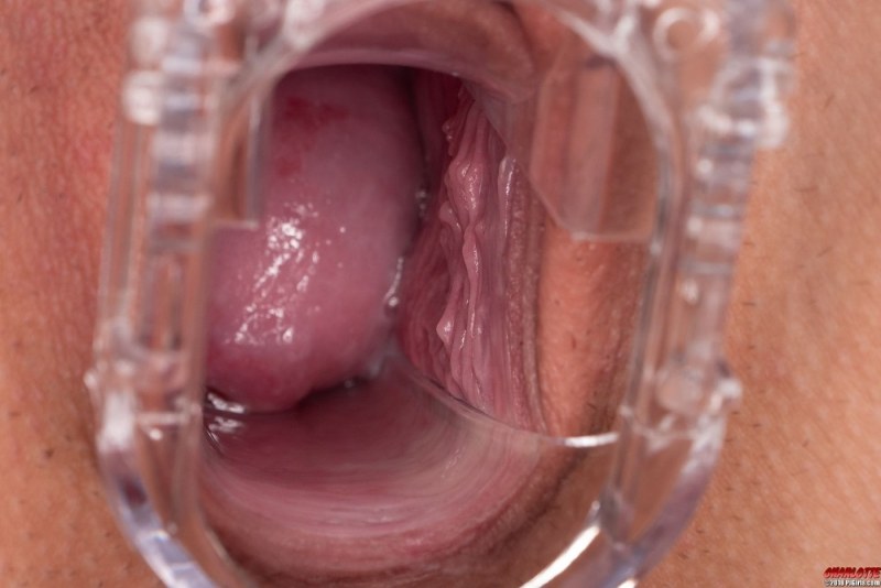 Women's vagina from the inside
