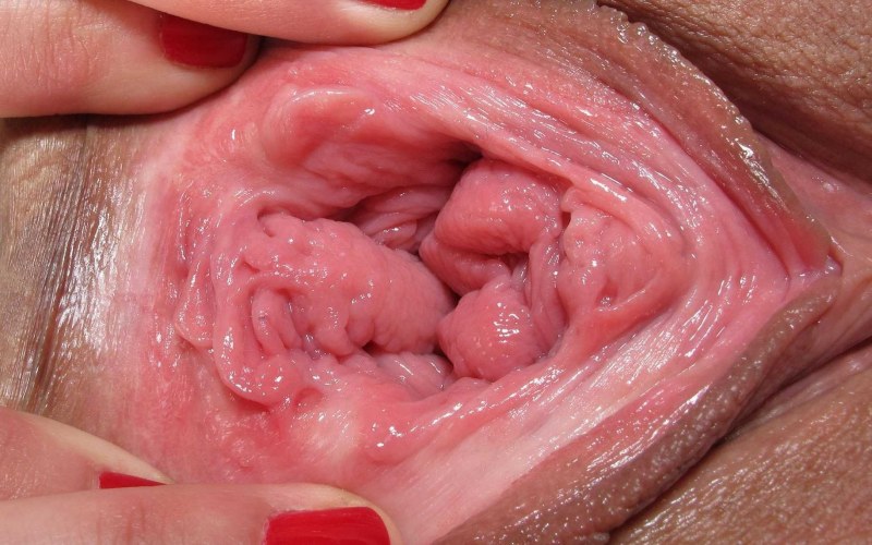 Vagina close -up from the inside