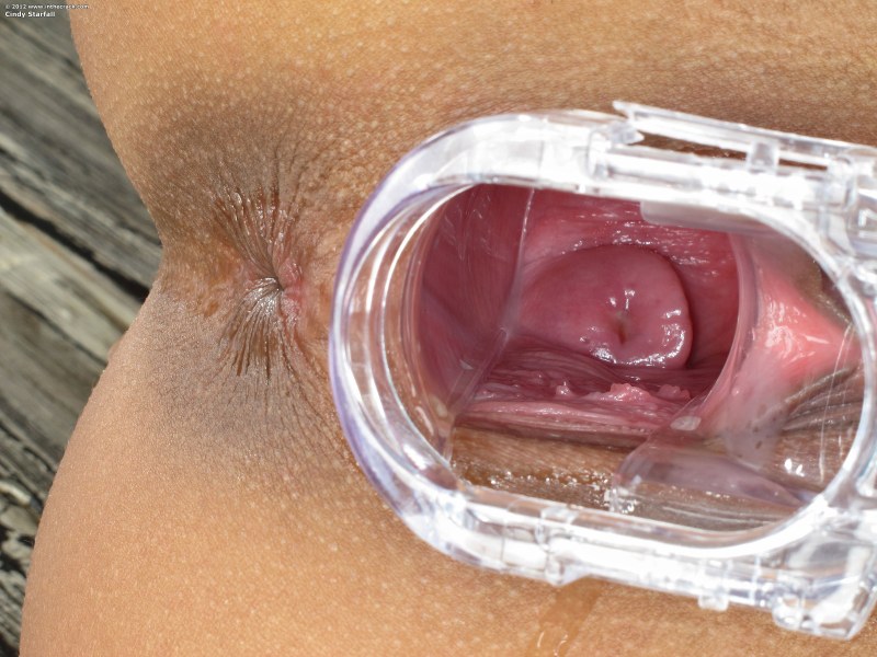 The vagina of the girl inside