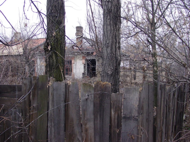 Lugansk Pedagogical Institute of Statue