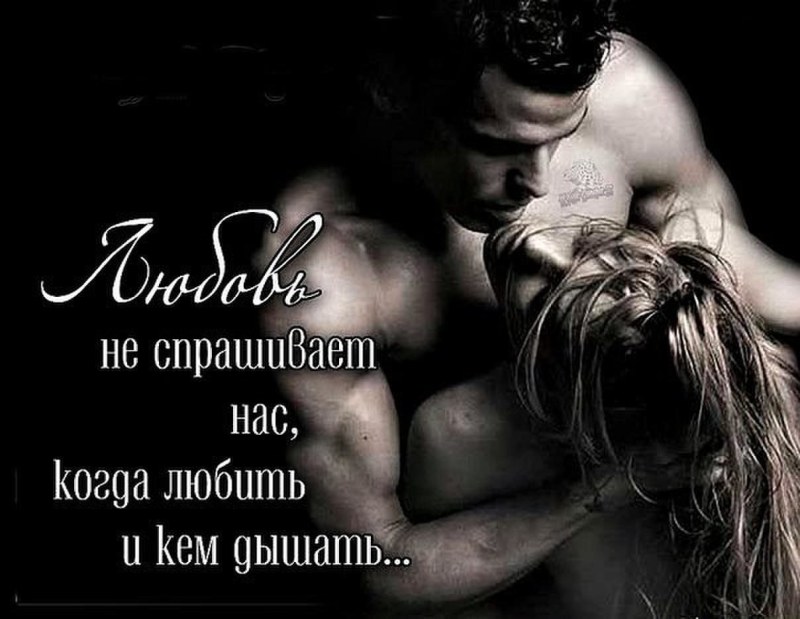 Love and passion with words