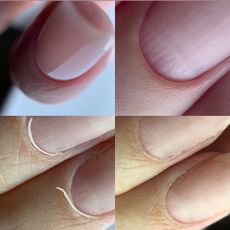 Nadezhda Vasilenko Victor Stinger