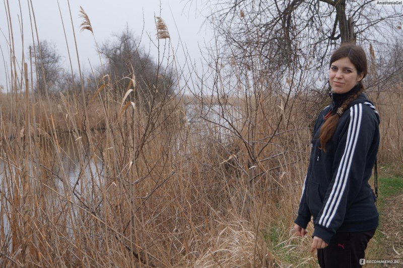 GIFs jokes with girls